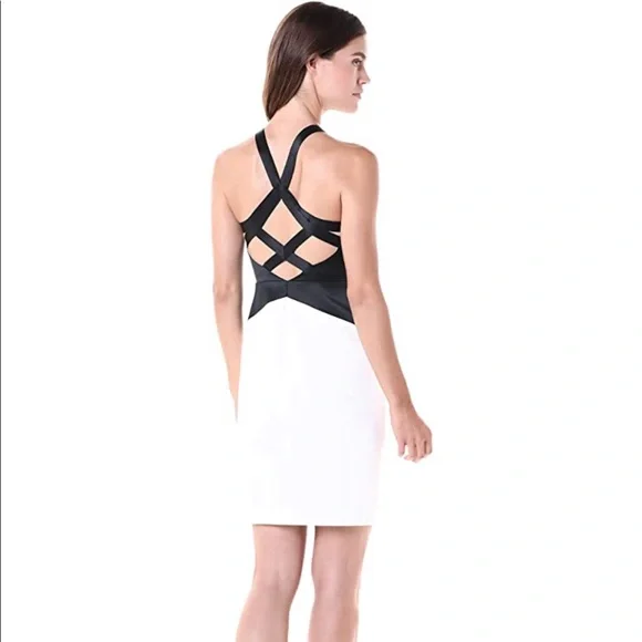 NWT- HALSTON Sleeveless Round Neck Dress - Picture 2 of 16